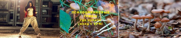 бутик Зерноград