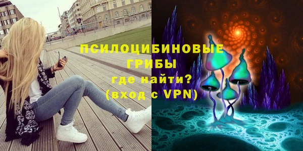 гидра Зеленокумск