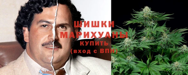 гидра Зеленокумск