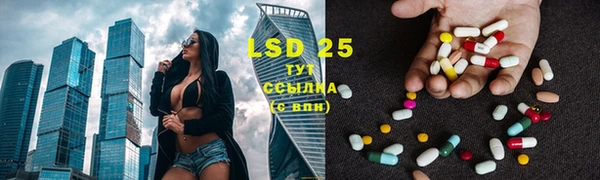 гидра Зеленокумск