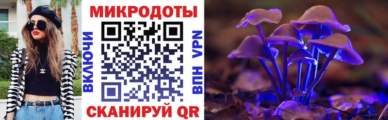 Купить закладки  Приморско-Ахтарск  Псилоцибиновые грибы GOLDEN TEACHER 